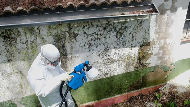Top rated local Crawl Space Mold Remediation specialists in Grantsville, MD
